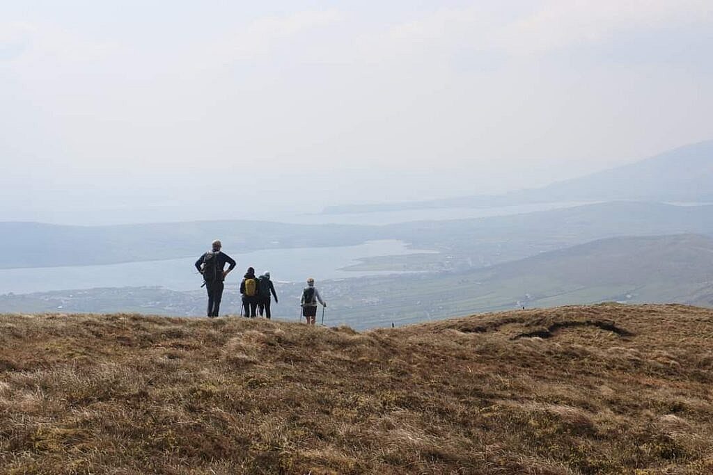 FBMD0f000786010000361f000056550000c65900001b5d00002b8b0000a8e5000056eb0000