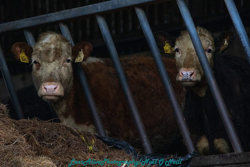 Beautiful landscape view on hillwalking route Cosán na Naomh