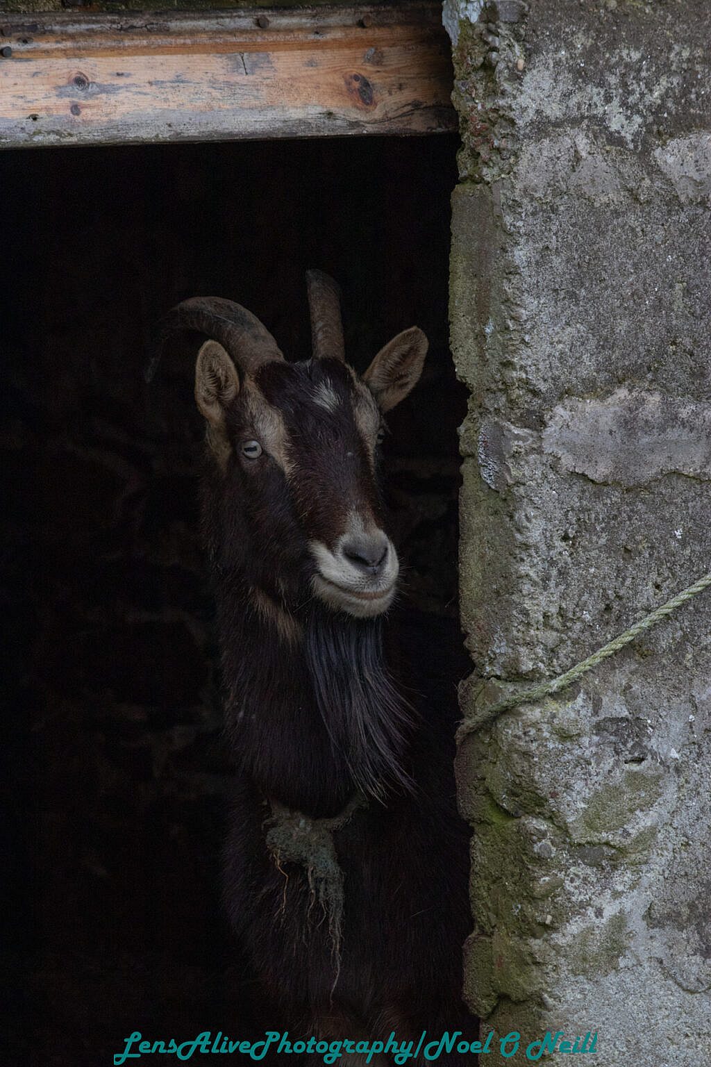 Beautiful landscape view on hillwalking route Cosán na Naomh